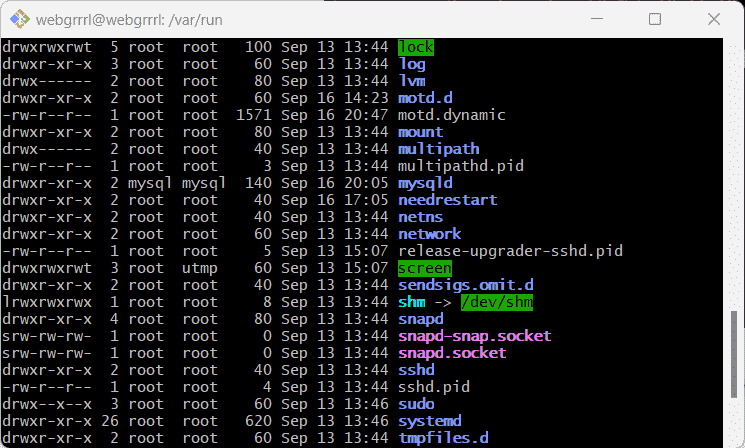 Ubuntu's /var/run content with needrestart directory